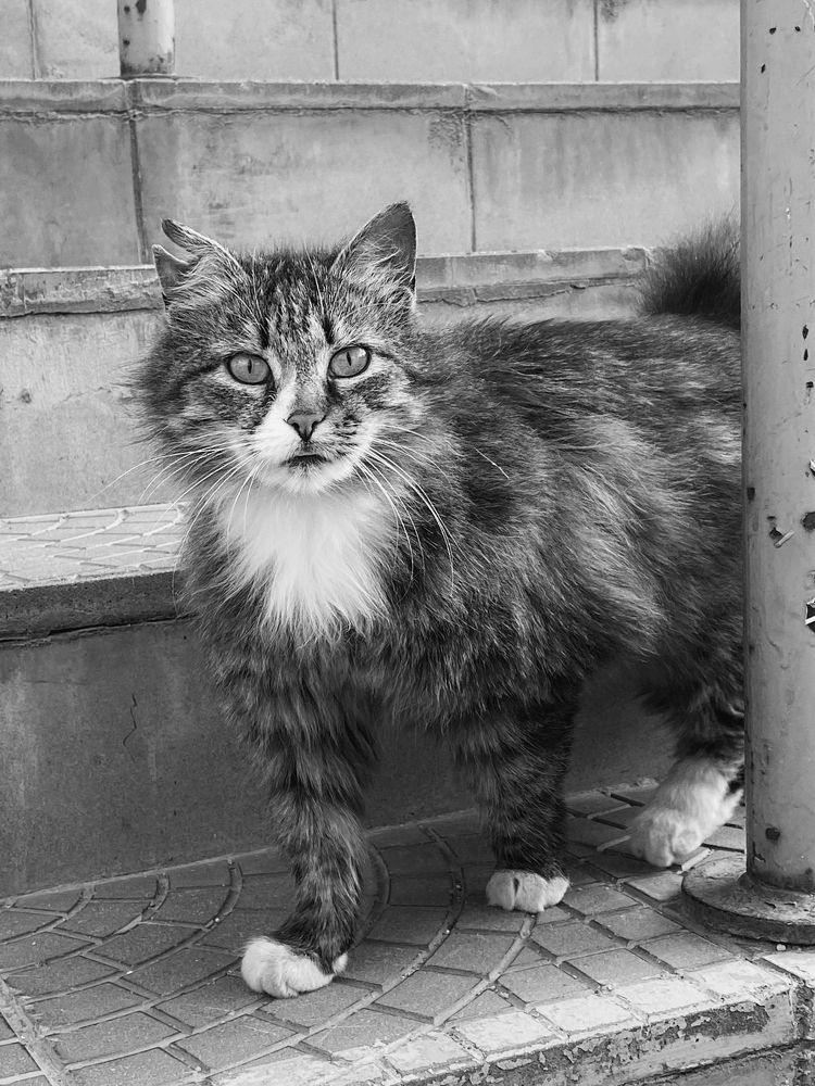 Photograph by Владимир Гвозд