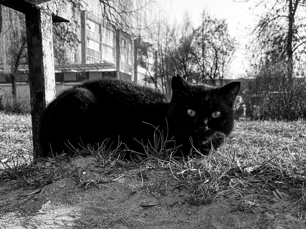 Photograph by Владимир Гвозд