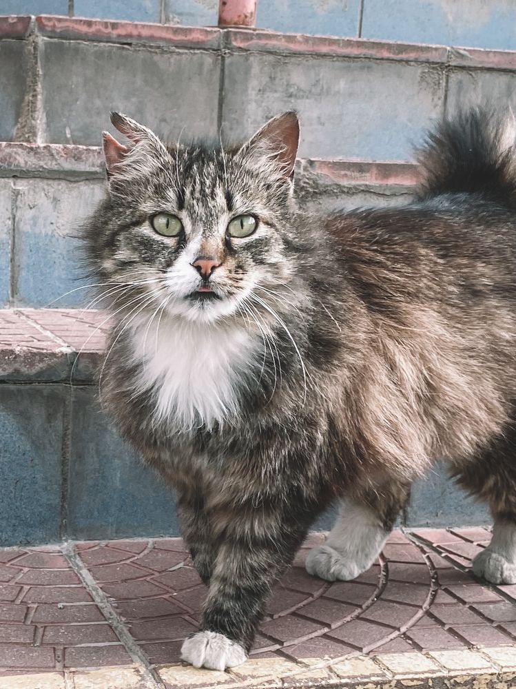 Photograph by Владимир Гвозд