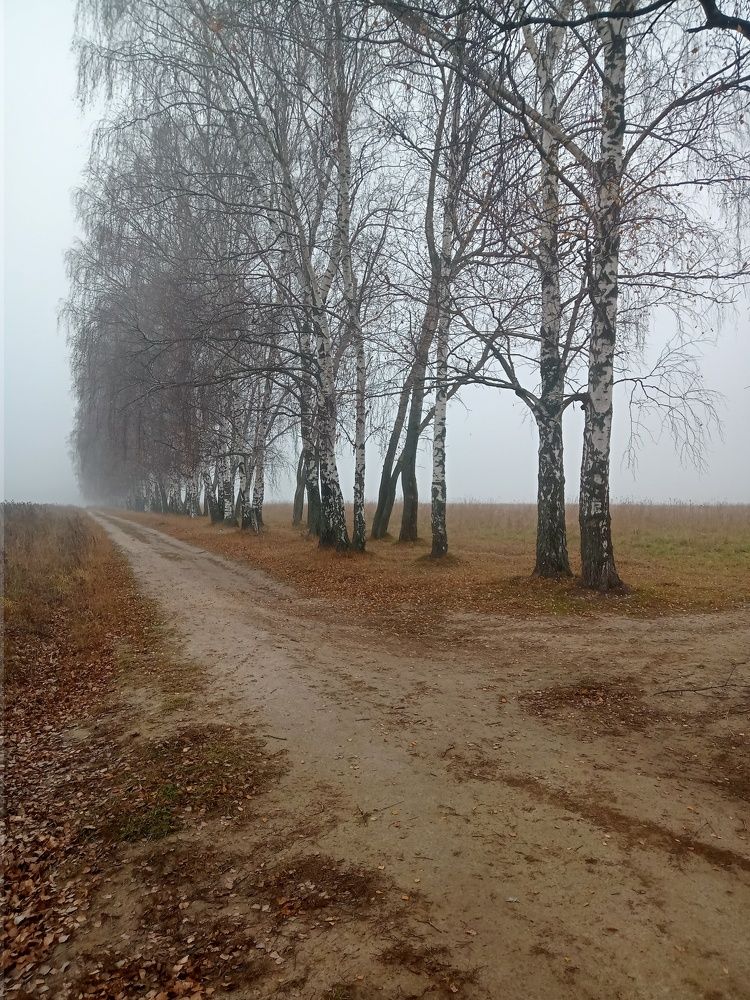 Photograph by Александр Alexander Zheleztsov