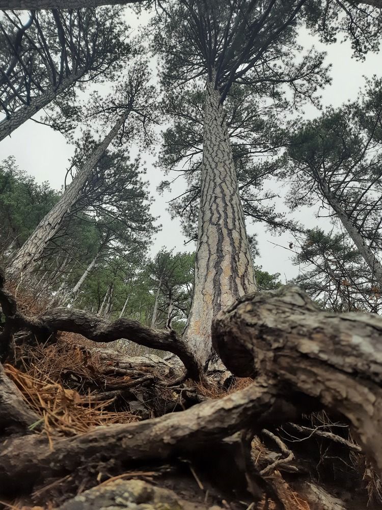 Photograph by Маргарита