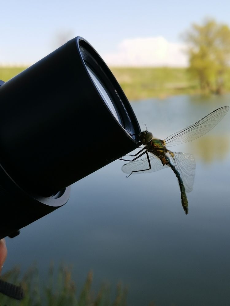 Photograph by Армен Багдасарян