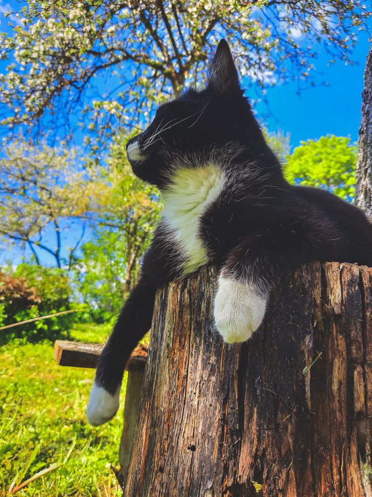 Photograph by Елена