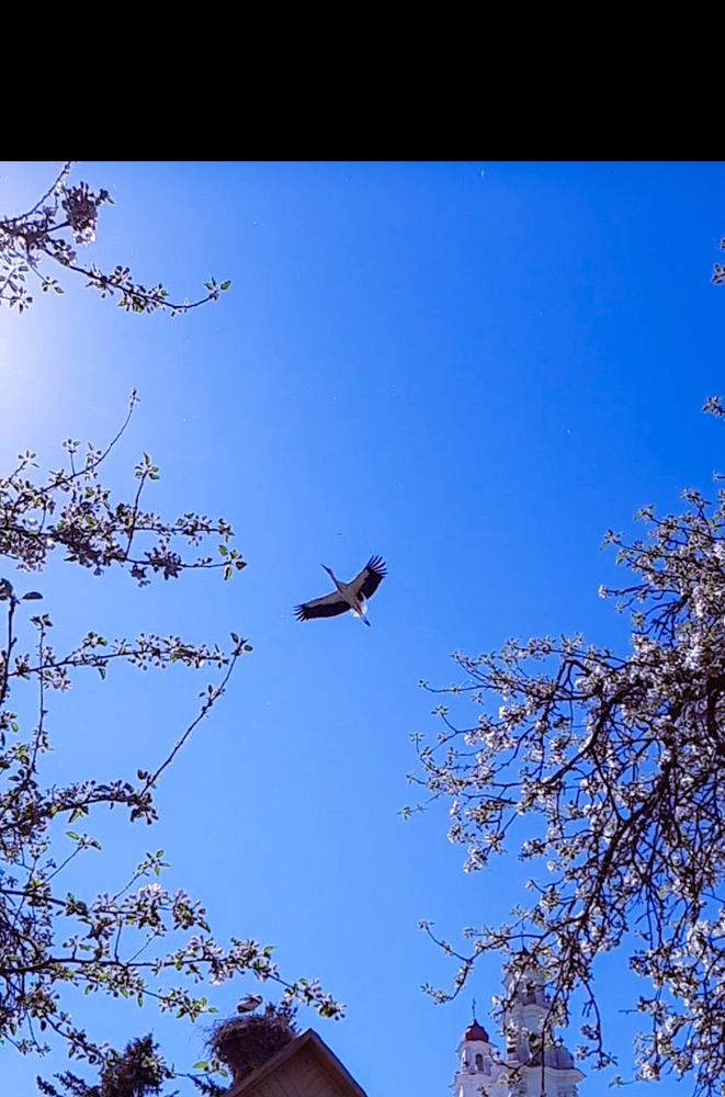 Photograph by Елена