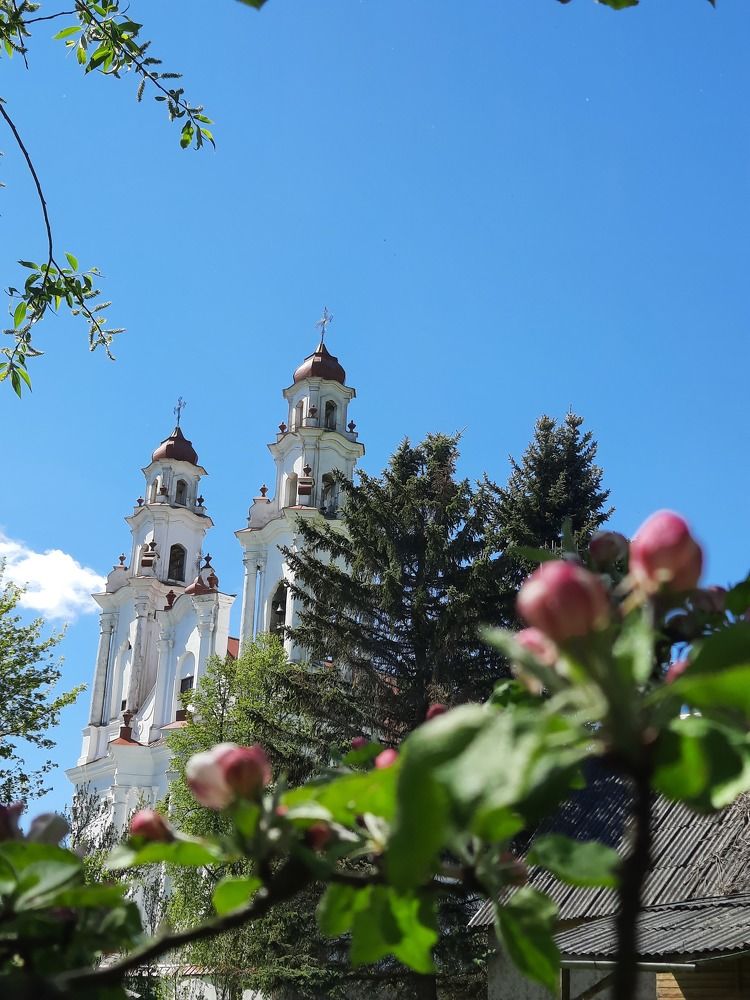 Photograph by Елена