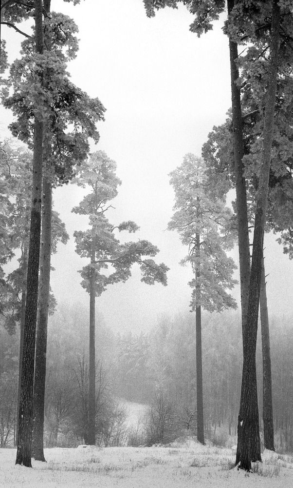 Photograph by Alexandr Makarenko