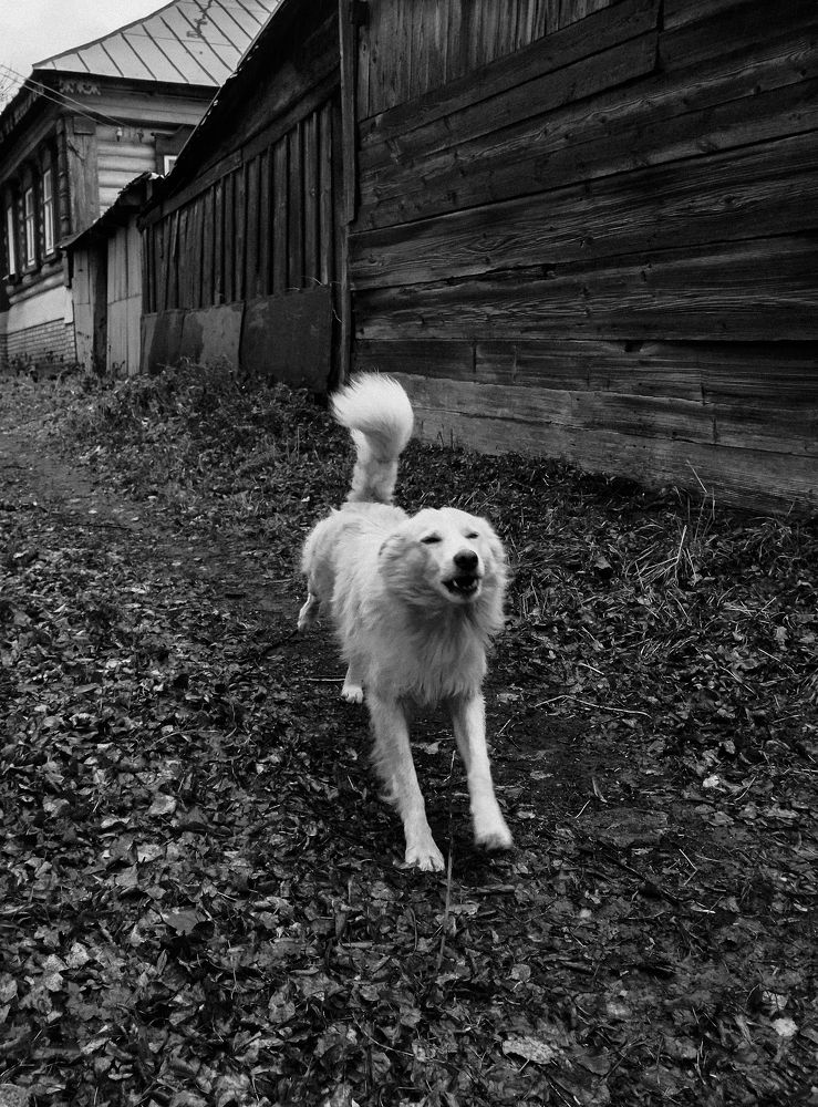 Photograph by Сергей Солдатов