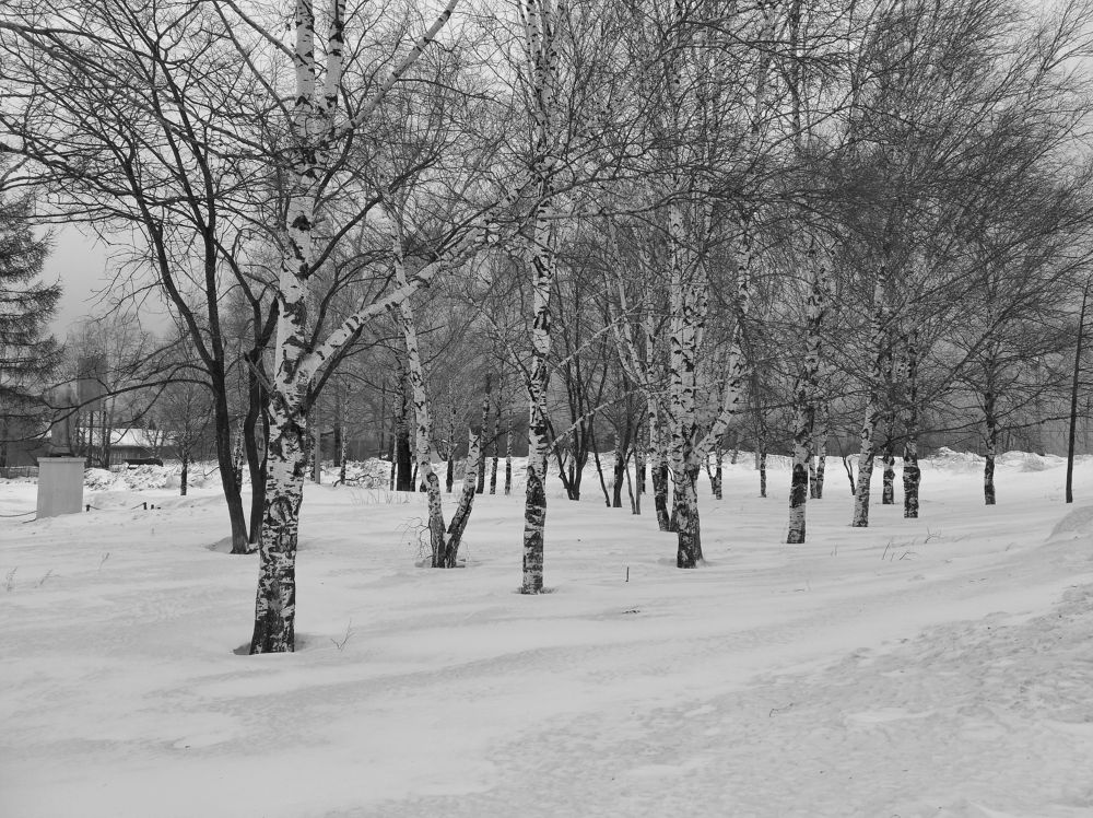 Photograph by Анатолий Майдуров