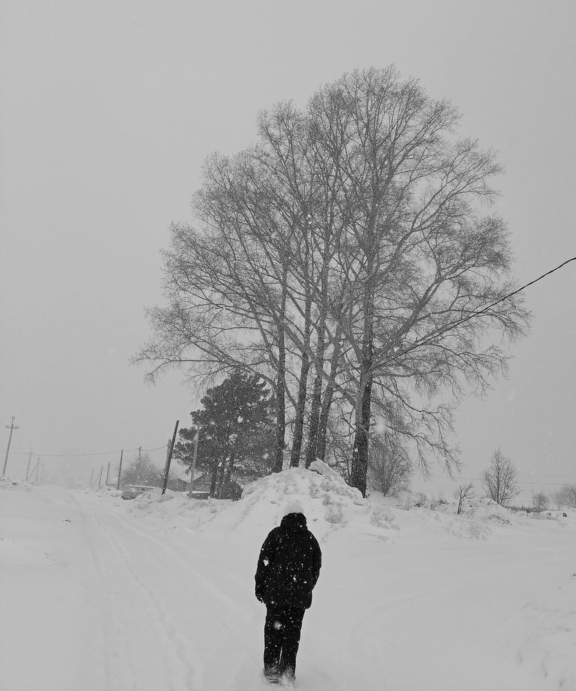 Photograph by Анатолий Майдуров