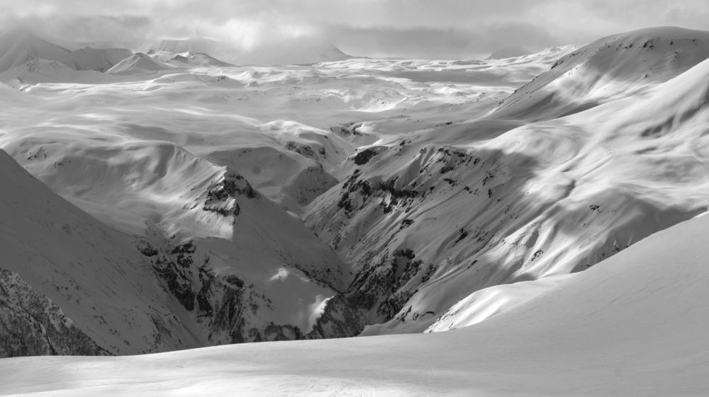 Фотография автора Мария Веселова
