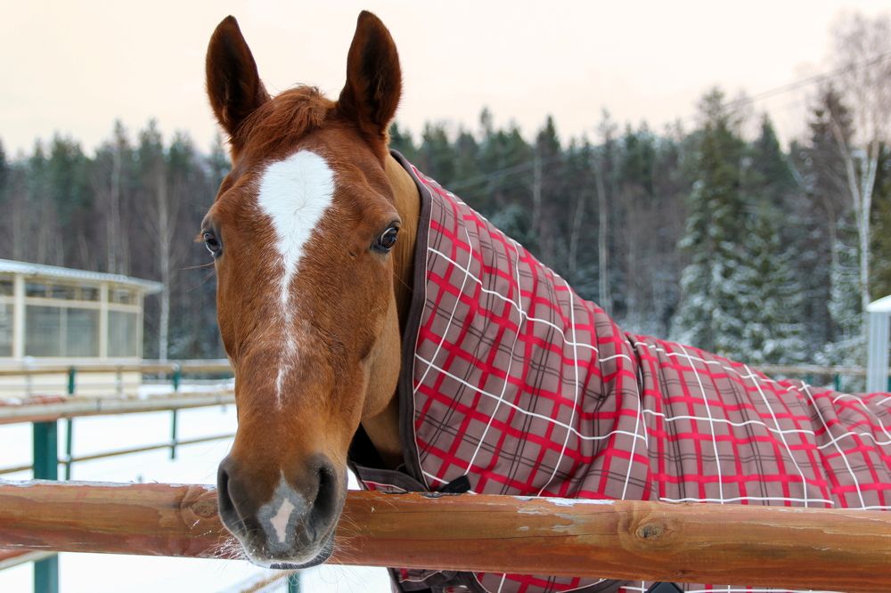 Photograph by Сергей Иванов