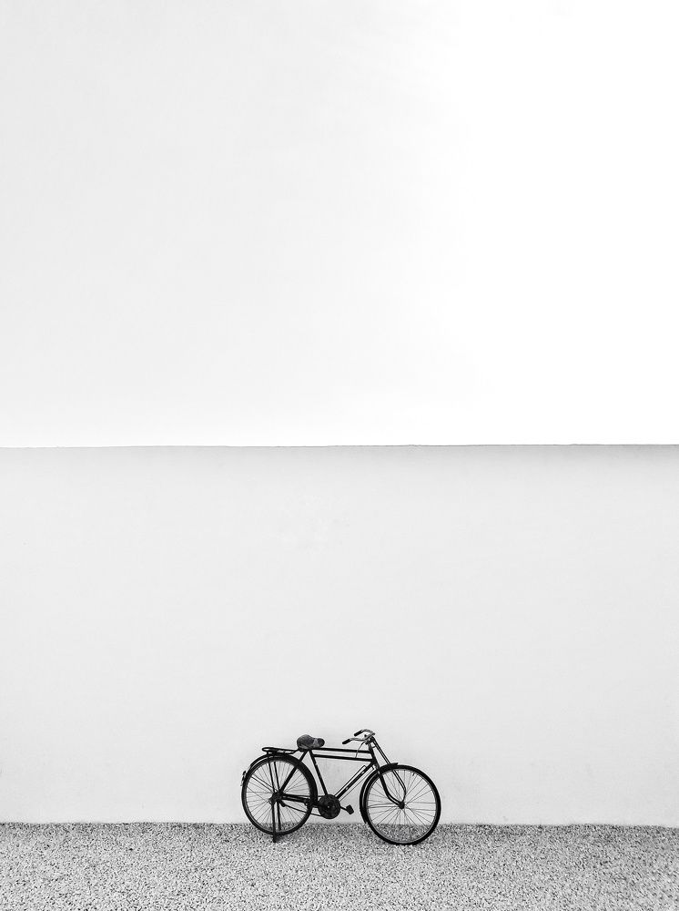 Photograph by Ali Nooralian