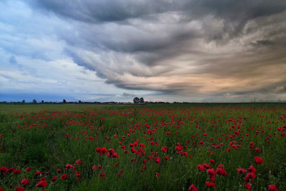 Фотография автора 