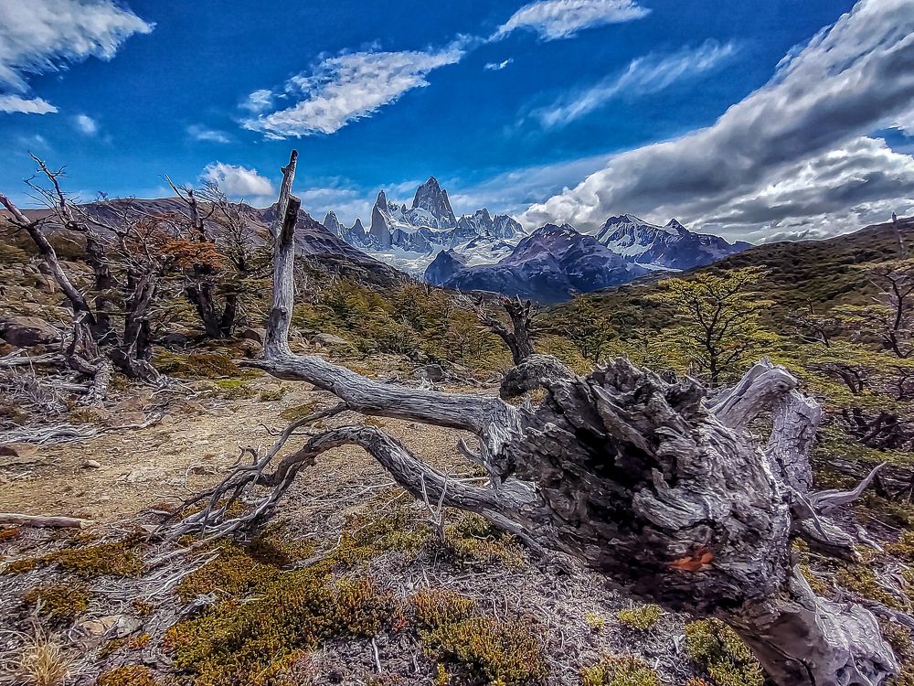 Centinela de la Patagonia Argentina
