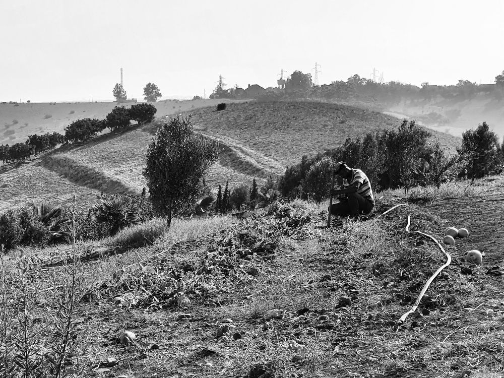 Photograph by Hicham Chraibi