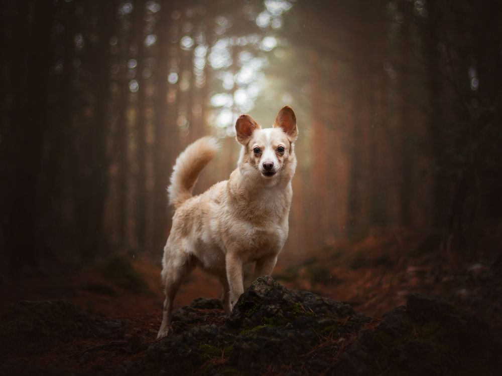 Photograph by Dorota Hnatová