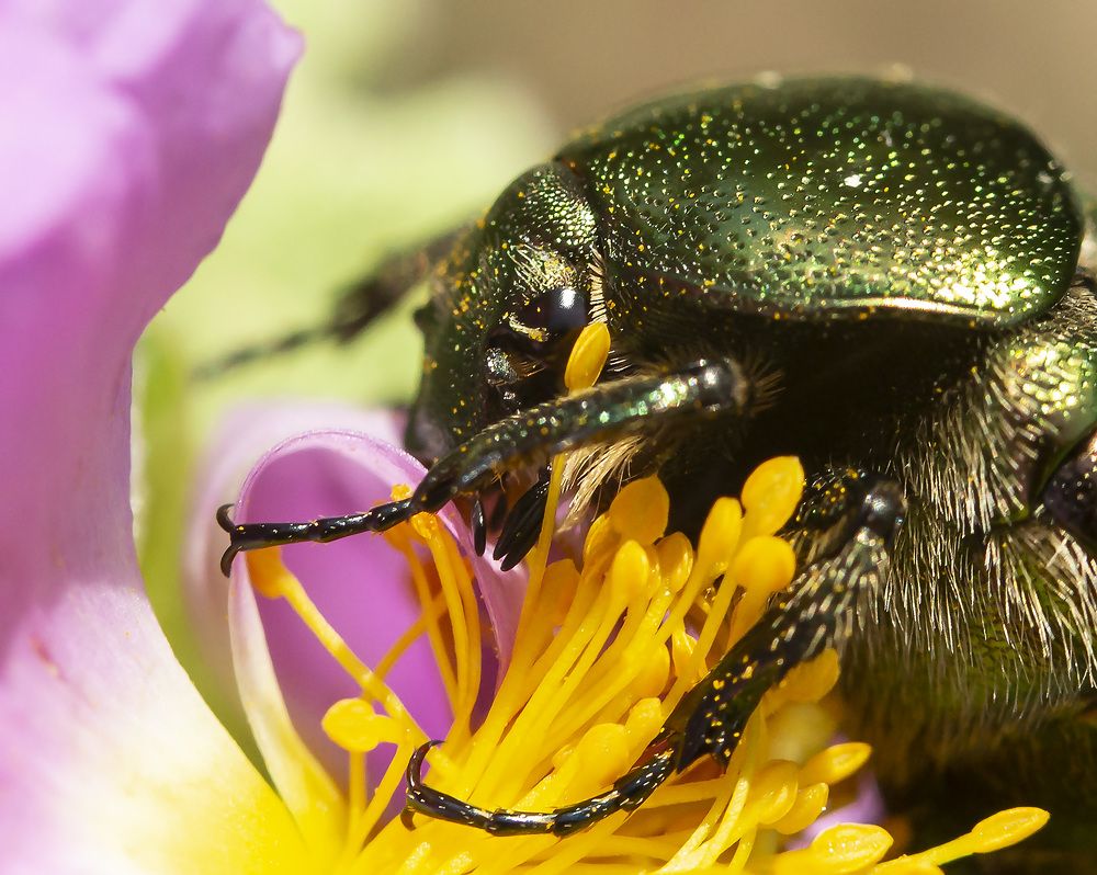 Photograph by Борис Саватюгин