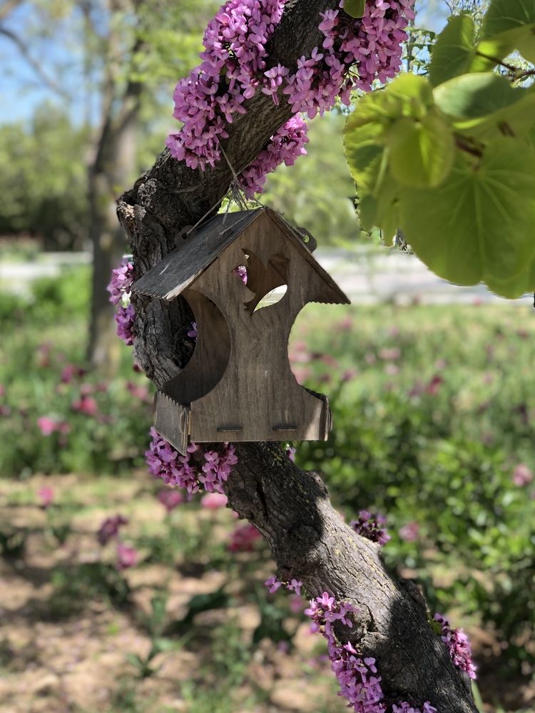 Photograph by Мария Мельничук