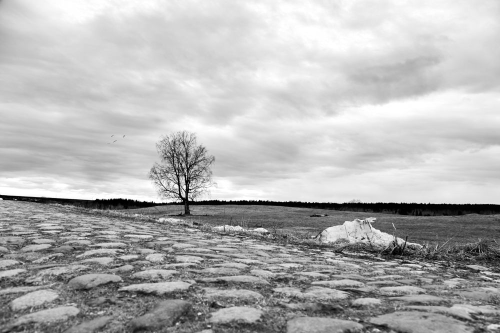 Photograph by Леонтьева Таня