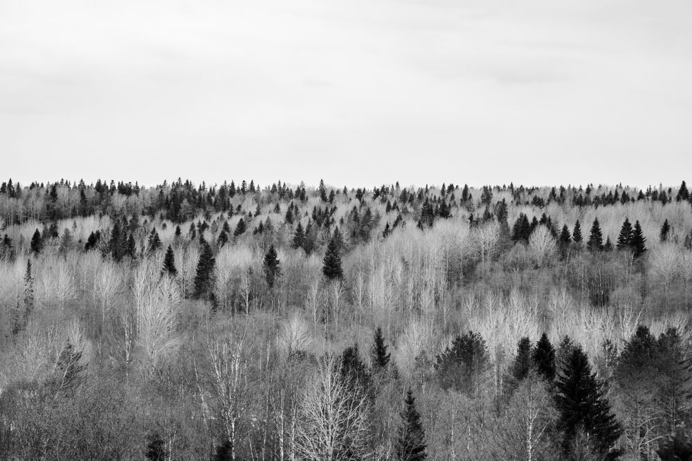 Photograph by Леонтьева Таня