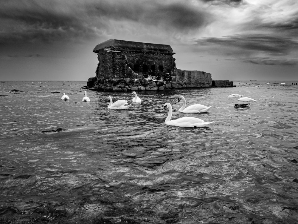 Photograph by Дмитрий Грошиков