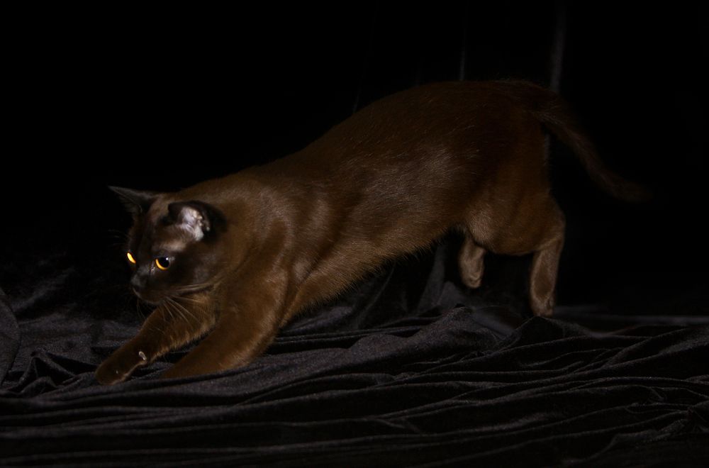 Фотография автора Надежда Лисицына