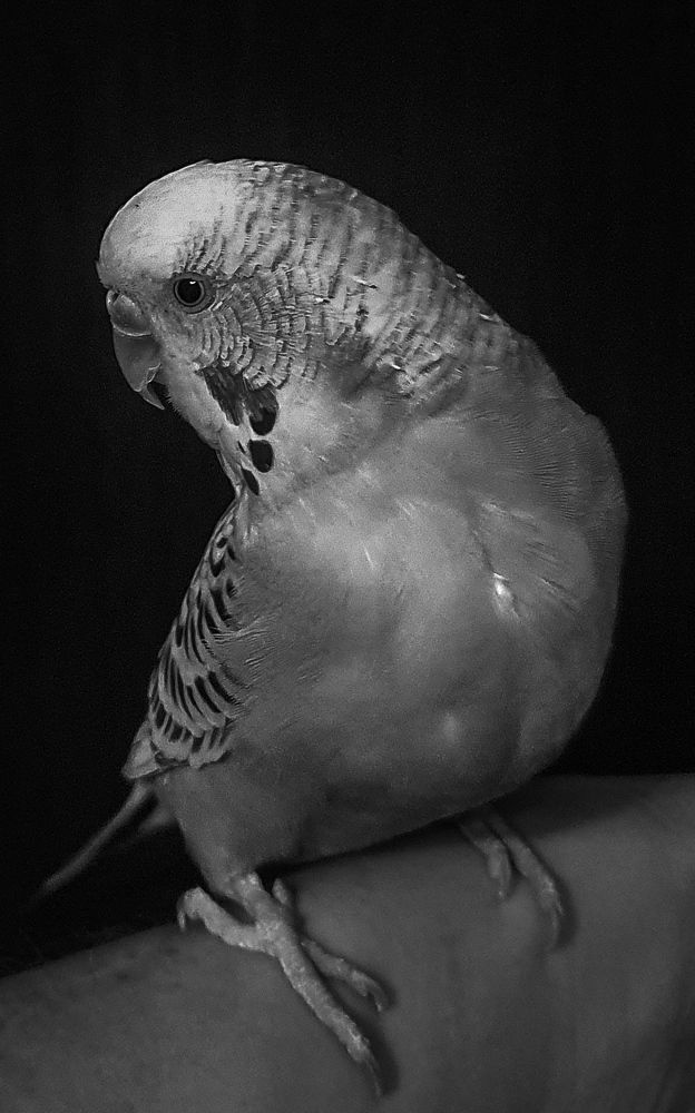 Photograph by Анастасия Трофимовская