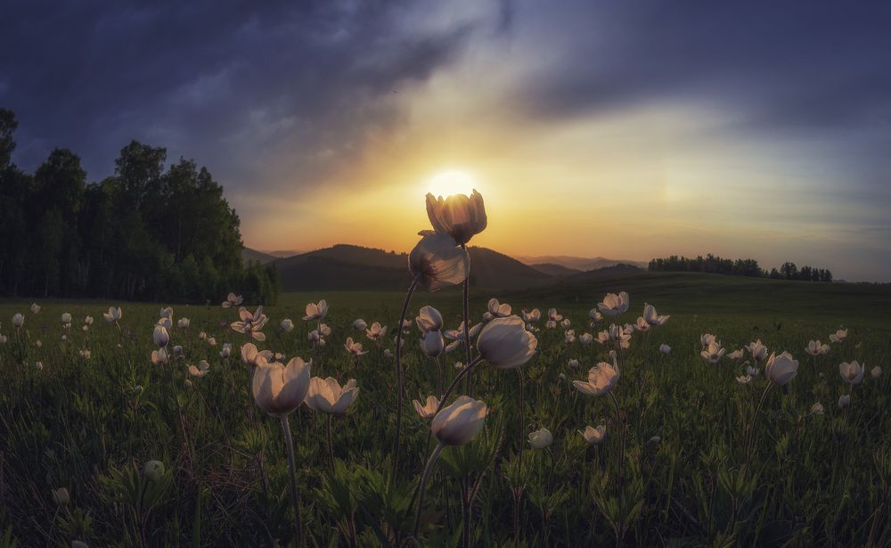 Майский вечер.