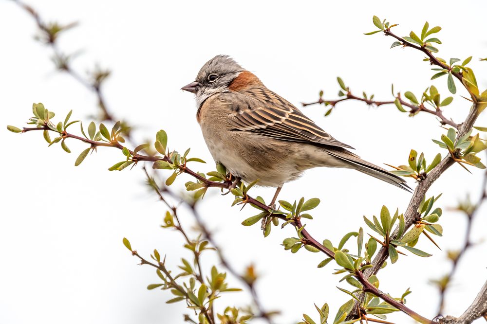 Photograph by Maria Victoria Lopez