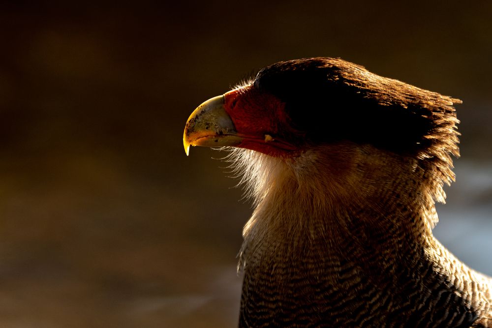 Photograph by Maria Victoria Lopez