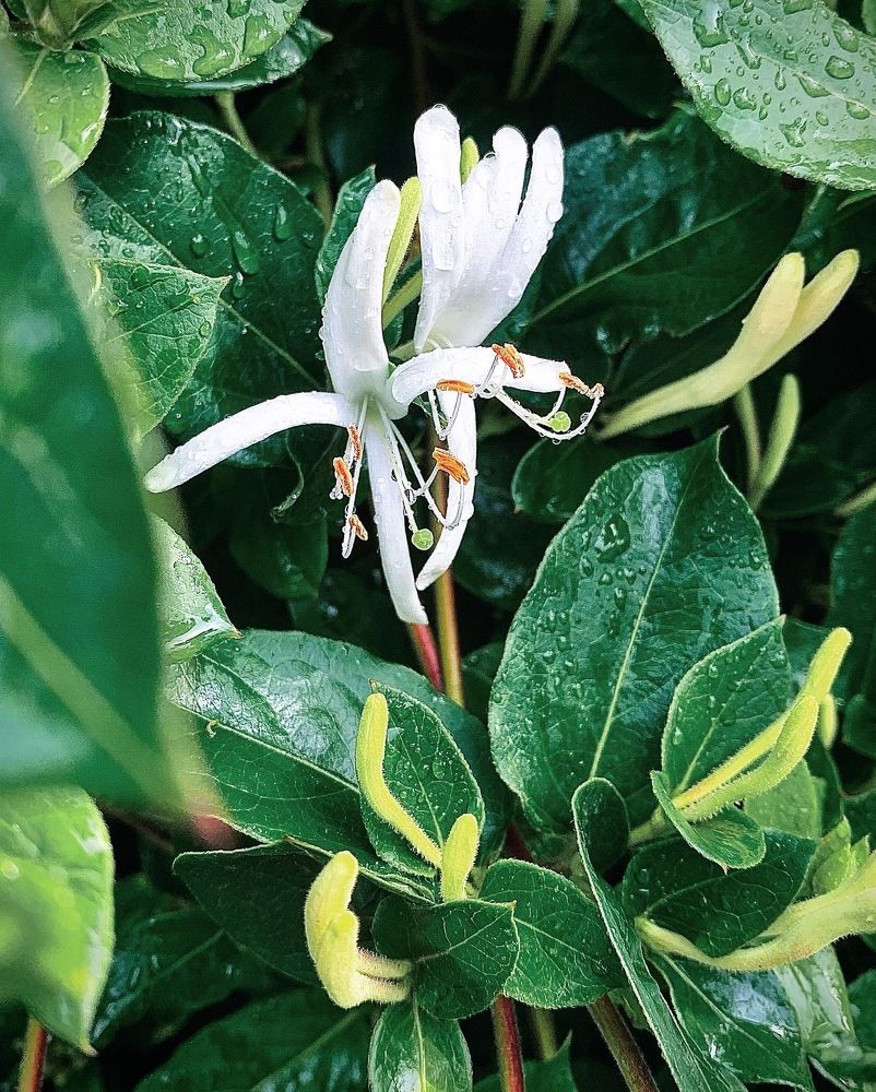 Photograph by Ксения Рыбцова