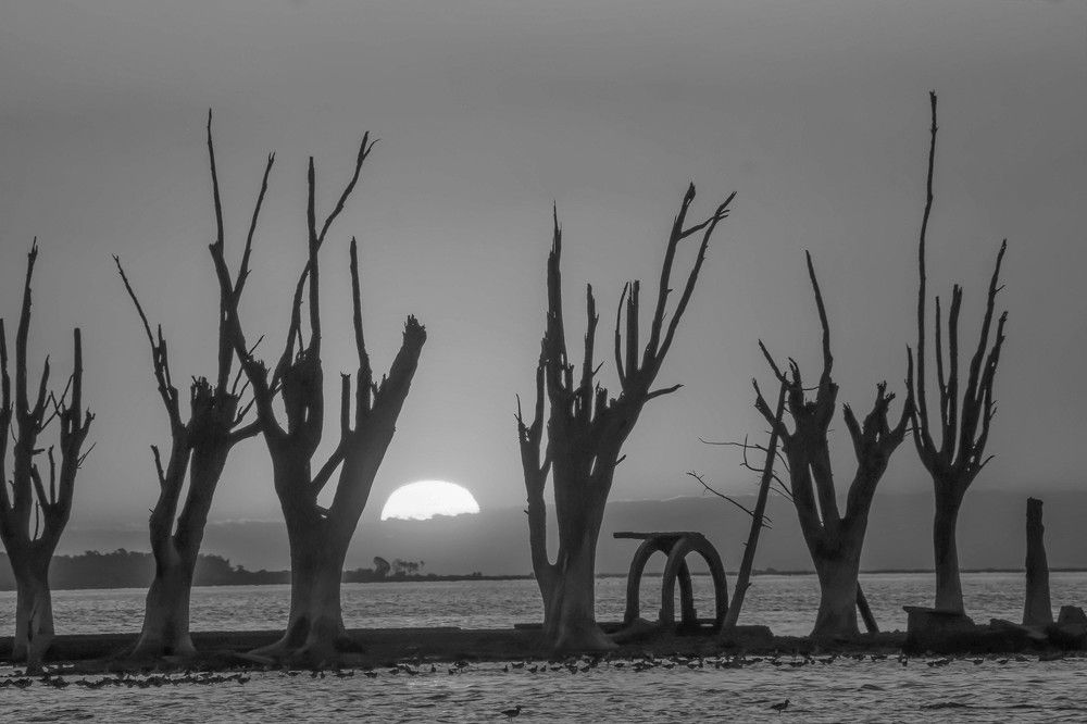 Photograph by Karina Elena Bergagna