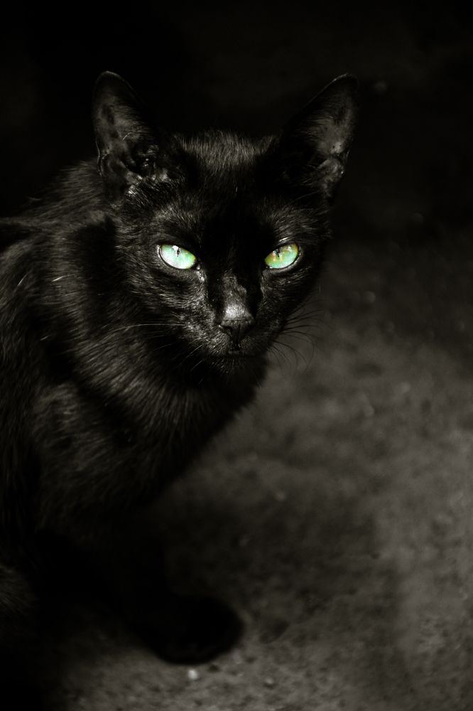 Photograph by Rohit Mazumdar