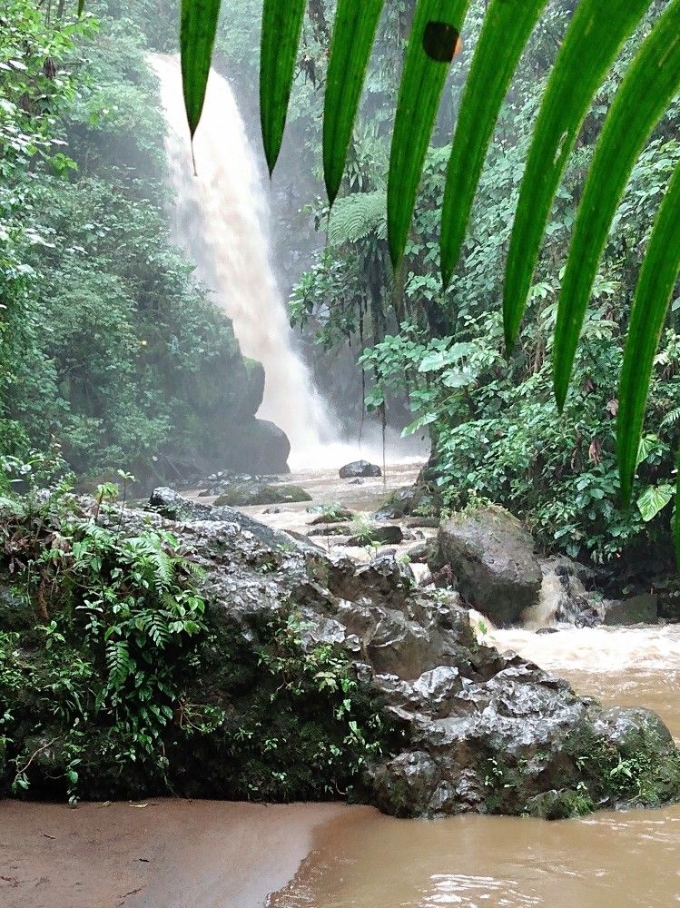 Photograph by José Luis Mendoza Machado