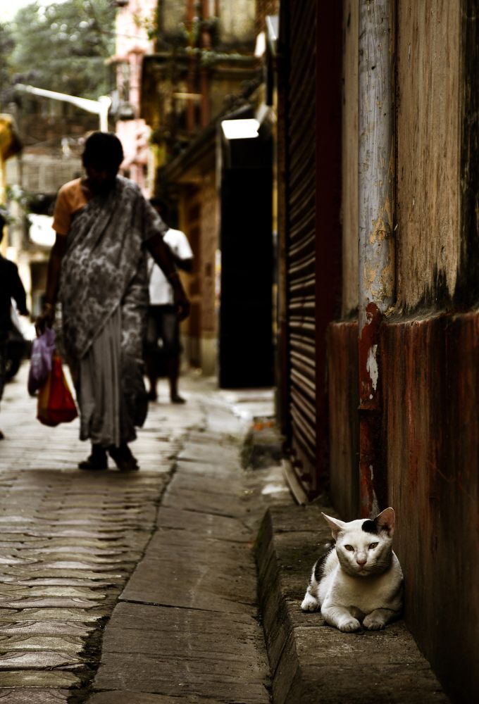 Photograph by Rohit Mazumdar