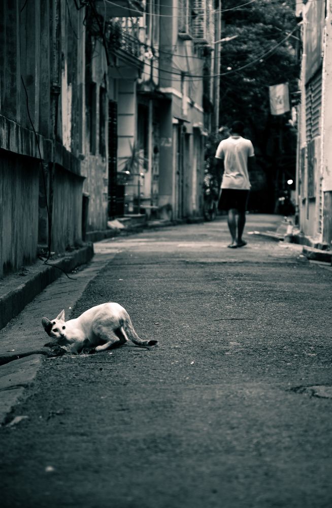 Photograph by Rohit Mazumdar