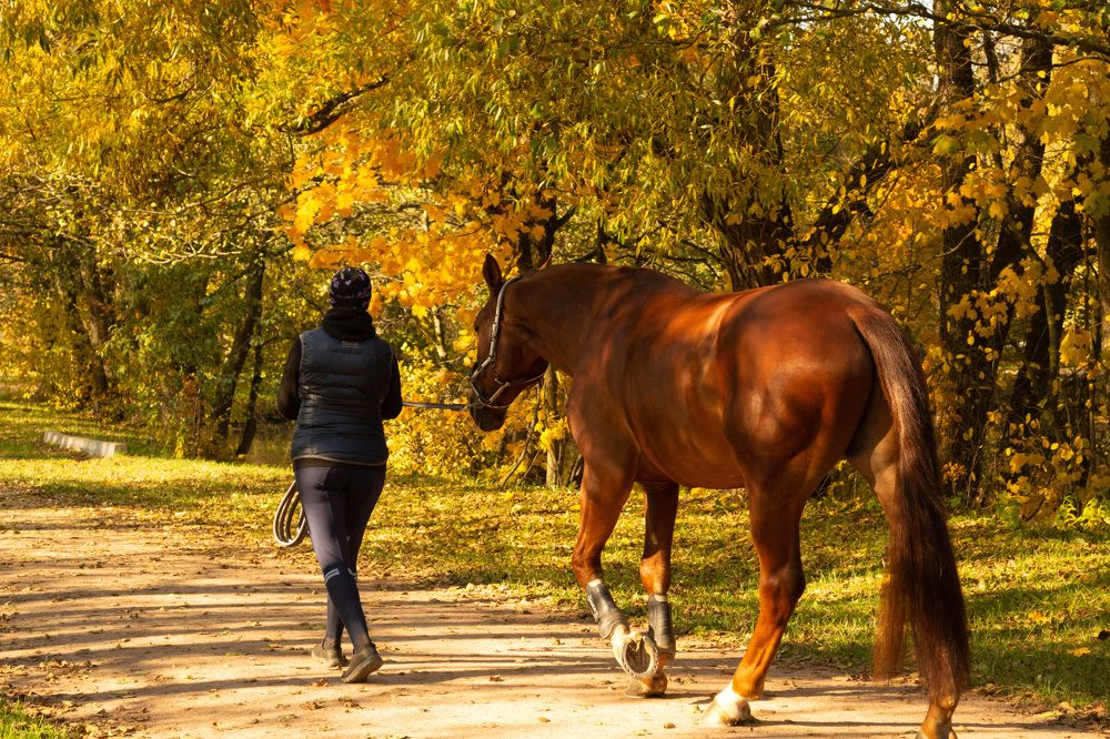 Photograph by Olga Smirnova