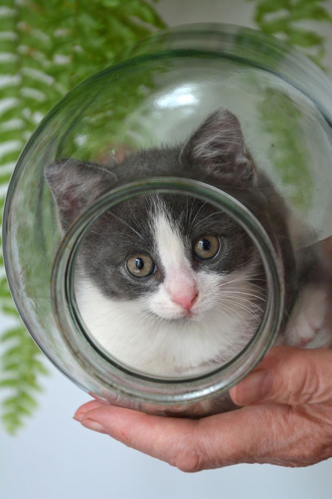 Photograph by Екатерина Крючкова