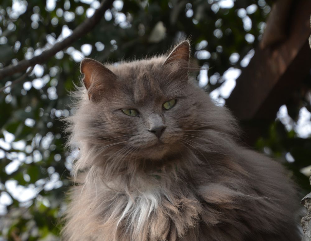 Photograph by Екатерина Крючкова