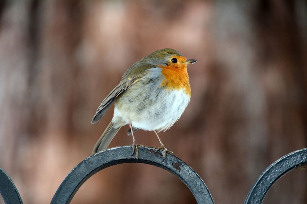 Photograph by Екатерина Крючкова