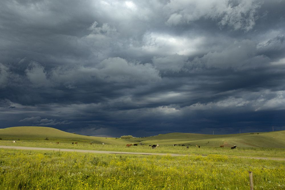 Photograph by Анастасия Терещенко