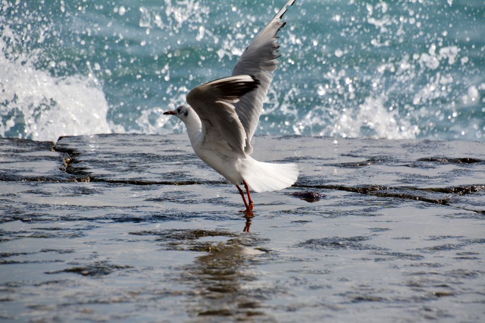 Photograph by Екатерина Крючкова