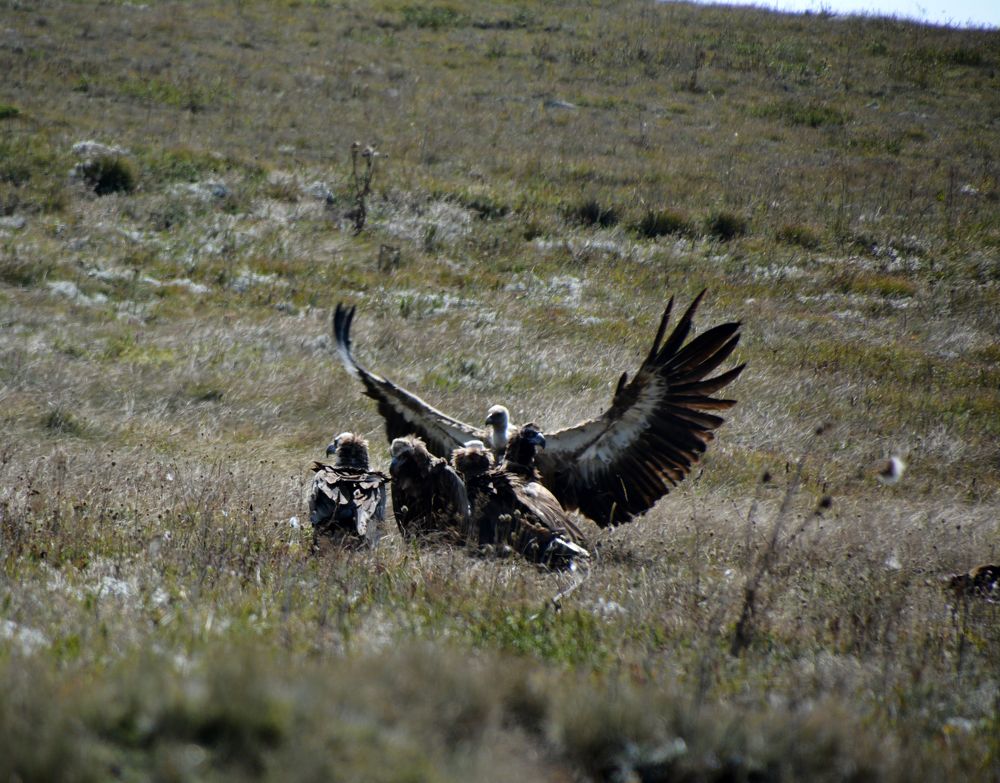 Photograph by Екатерина Крючкова