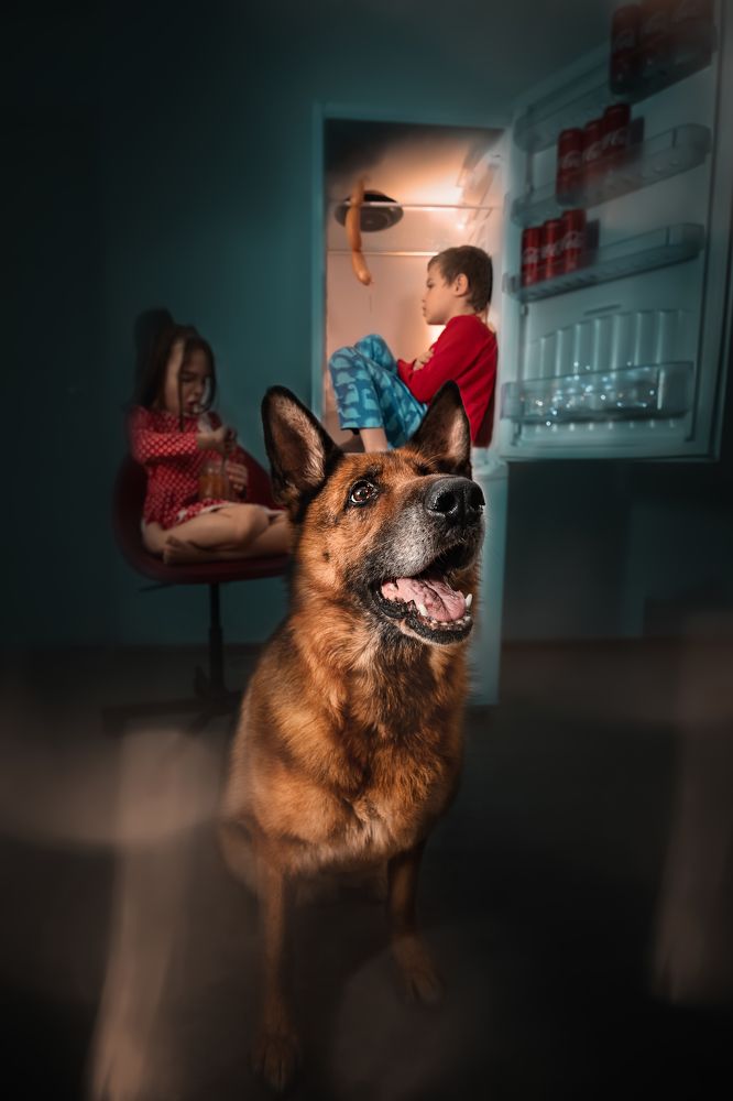 Photograph by Ольга Овчинникова