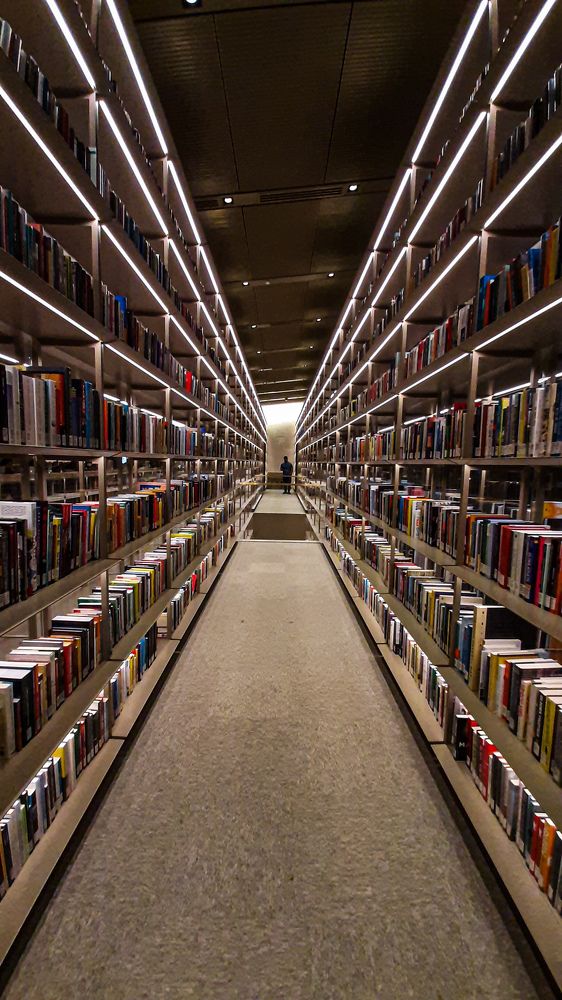 Фотография автора Syeda Fahamida