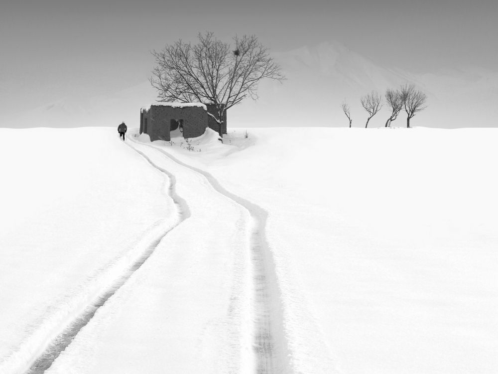 Фотография автора Hosein Davoodi