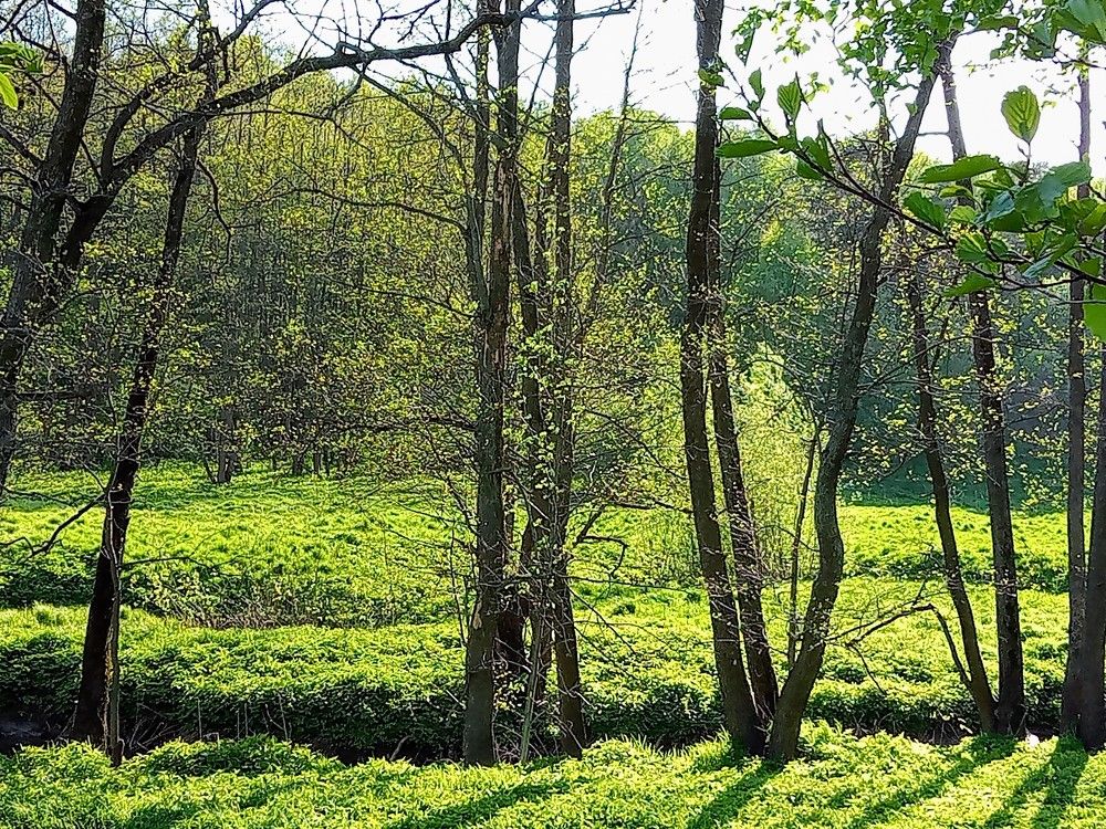 Photograph by Александр Alexander Zheleztsov