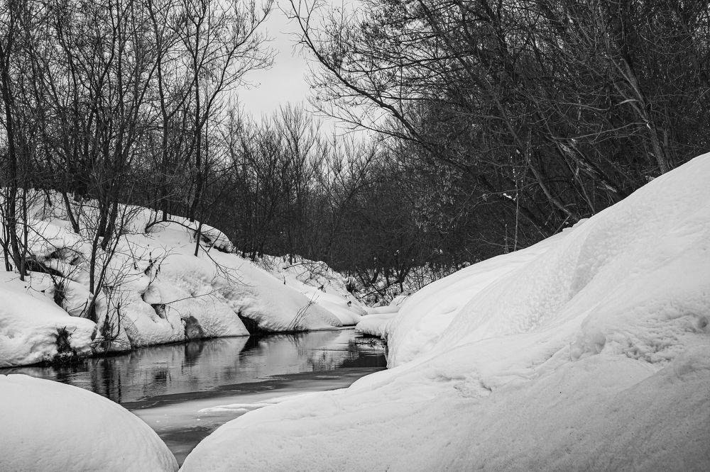 Photograph by Василий Лазарев