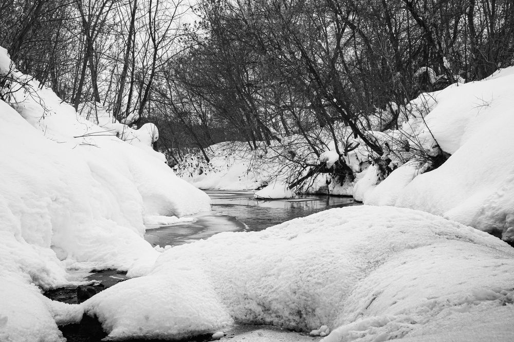 Photograph by Василий Лазарев