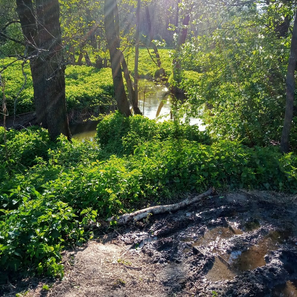 Photograph by Александр Alexander Zheleztsov